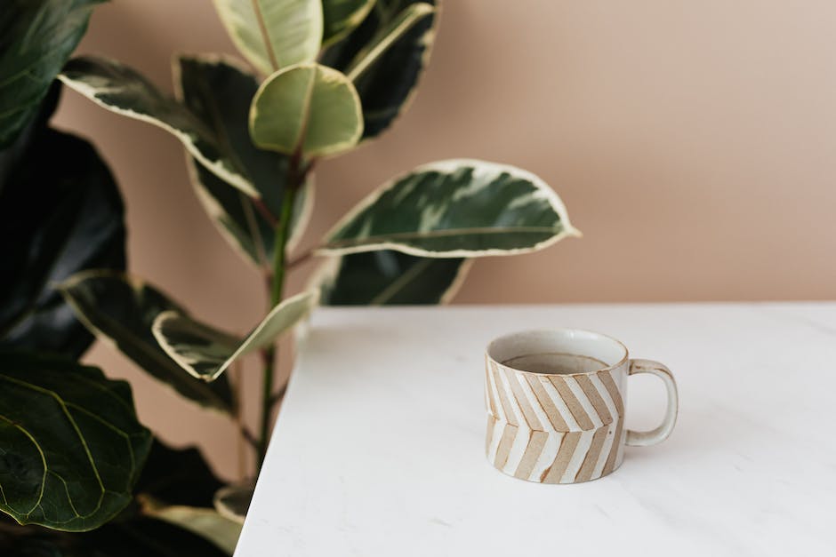 welche pflanzenmilch schmeckt am besten im kaffee_2