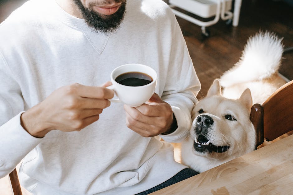 welcher koffeinfreie kaffee ist der beste_1