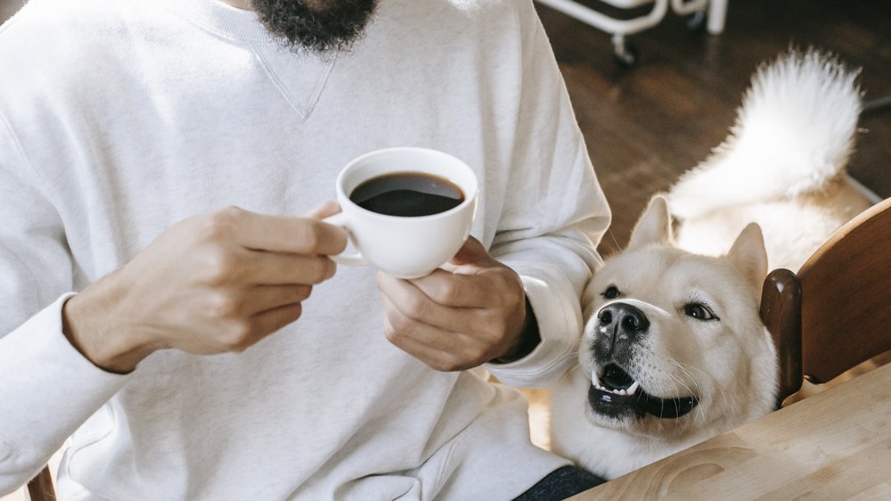 frech lustig guten morgen kaffee witzig