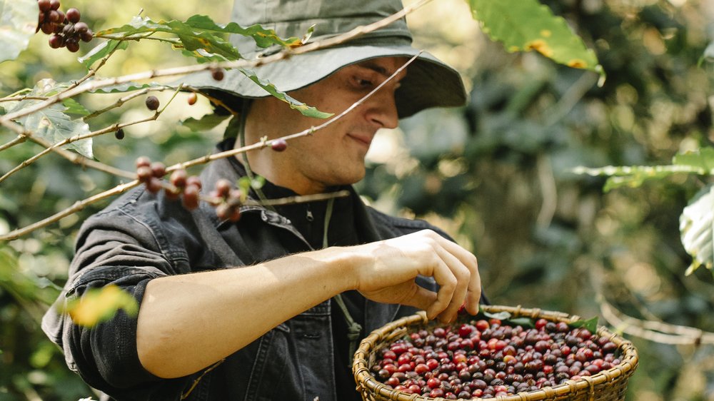 kaffee vietnam