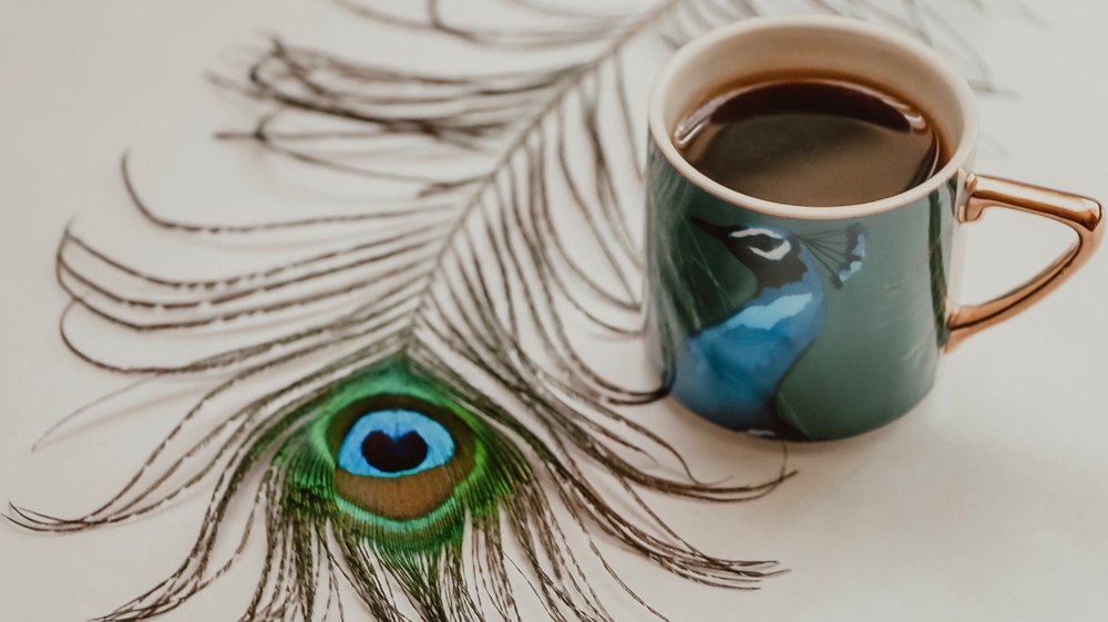 Entdecke Pfau Kaffee Dein neues Lieblingscafé in Berlin KaffeeKnaller.de